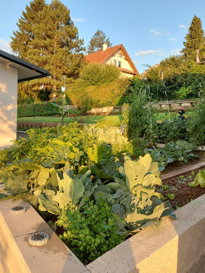 Privatzimmer Roland Hutten Exterior photo