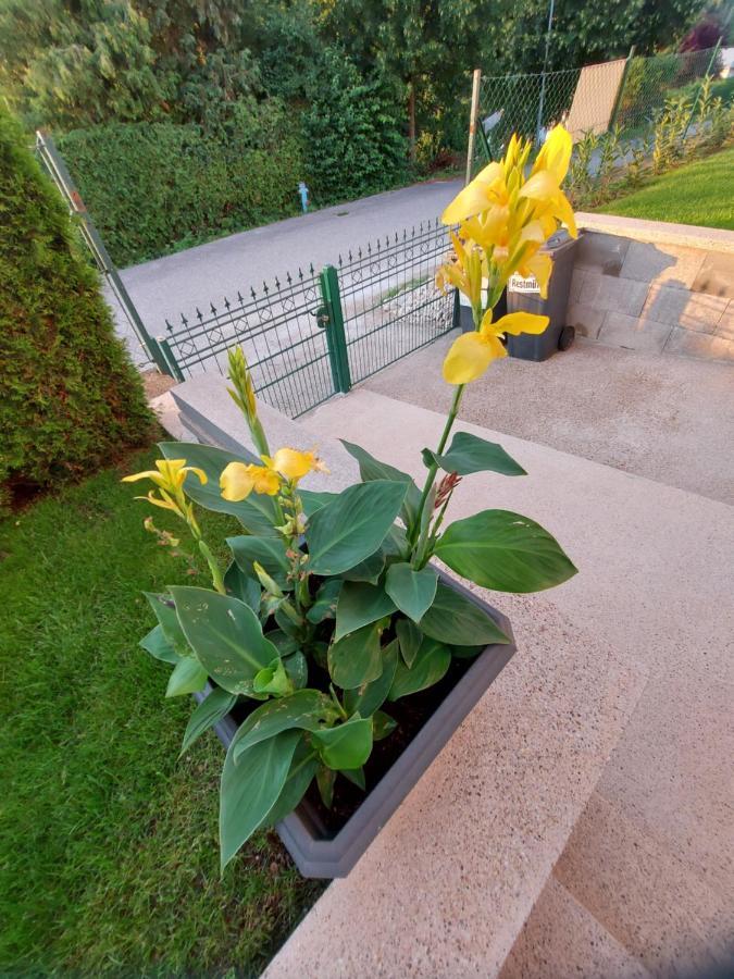Privatzimmer Roland Hutten Exterior photo